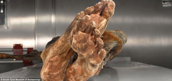 Picture 2 of Close up of the mummy otzi mummy