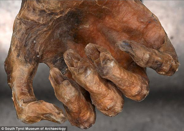 Picture 3 of Close up of the mummy otzi mummy