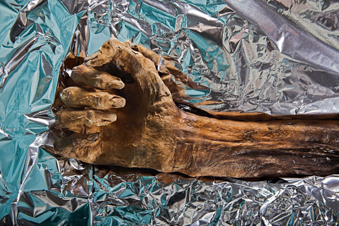 Picture 4 of Close up of the mummy otzi mummy