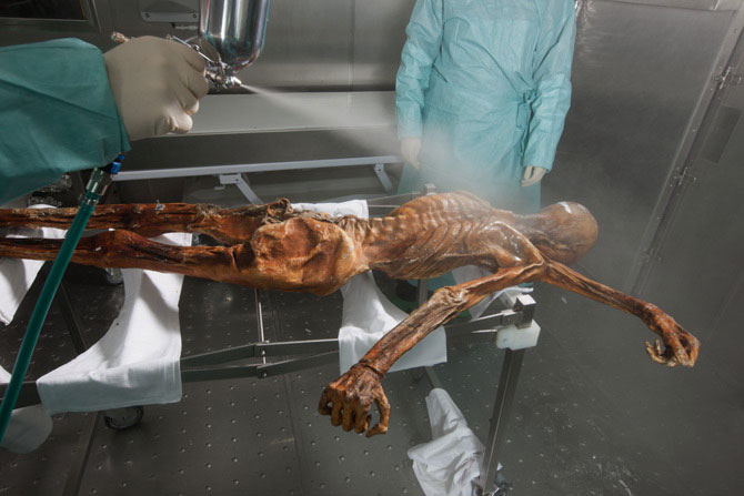 Picture 7 of Close up of the mummy otzi mummy