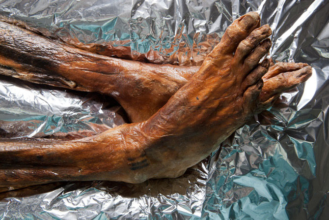 Picture 8 of Close up of the mummy otzi mummy