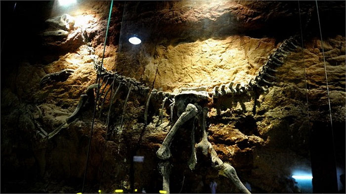 Picture 10 of Close up of the world's largest dinosaur park