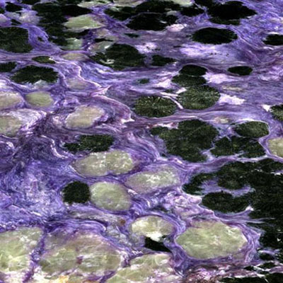 Picture 4 of Close up of world of agate, quartz