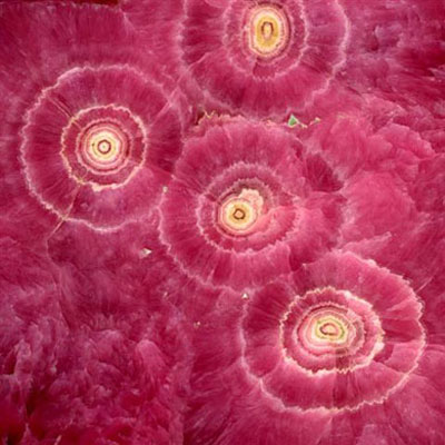 Picture 6 of Close up of world of agate, quartz