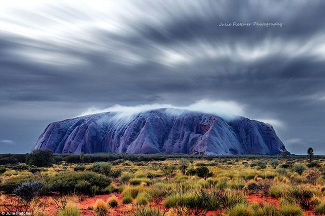 Picture 1 of Close-up of beautiful wild nature photos