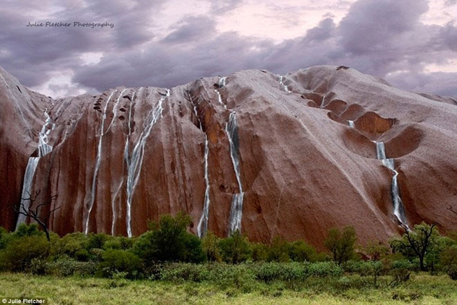 Picture 10 of Close-up of beautiful wild nature photos