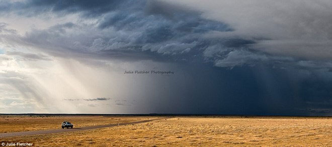 Picture 11 of Close-up of beautiful wild nature photos