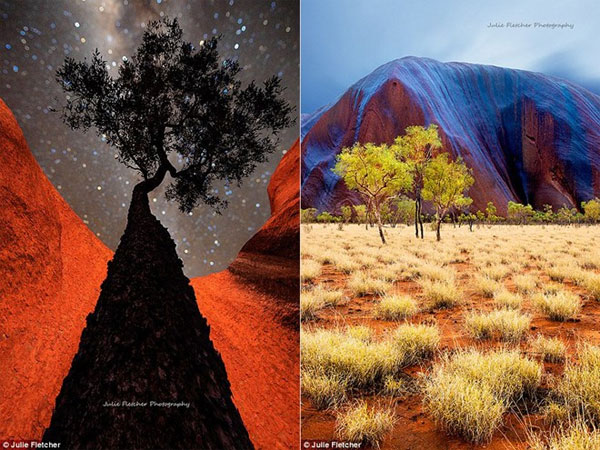 Picture 3 of Close-up of beautiful wild nature photos