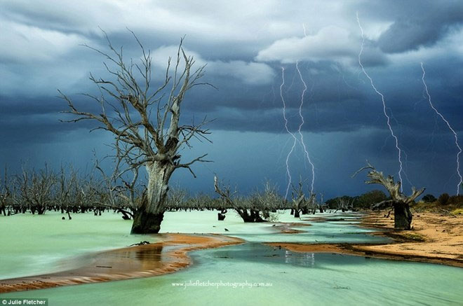 Picture 4 of Close-up of beautiful wild nature photos