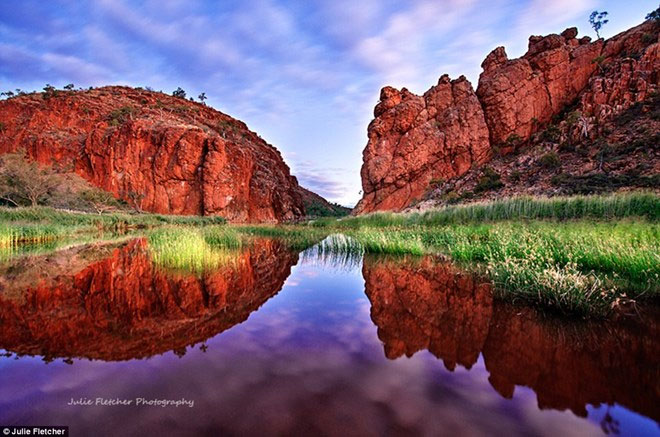 Picture 8 of Close-up of beautiful wild nature photos