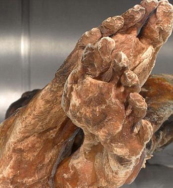 Picture 2 of Close-up of famous European ice men