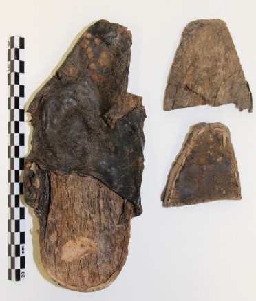 Picture 9 of Close-up of the 350-year-old excavation process