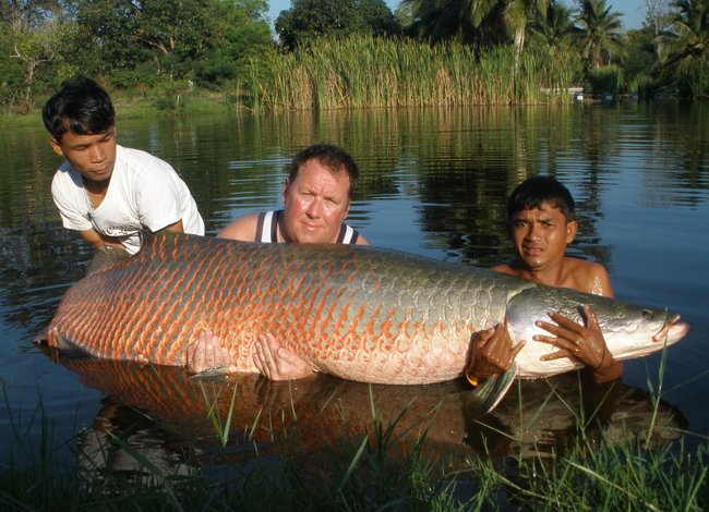 Picture 9 of Close-up of the species