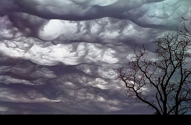 Picture 2 of Cloud roll is about to be officially recognized