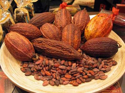 Picture 1 of Cocoa is good for high blood pressure patients