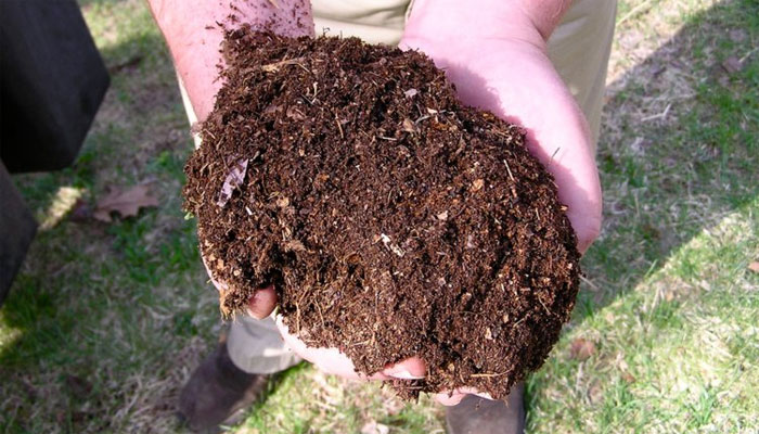 Picture 4 of Collect millions of dollars by turning waste into clean coal