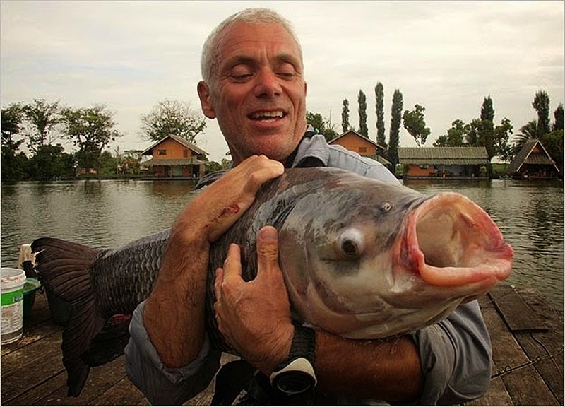 Picture 13 of Collection of formidable aquatic monsters
