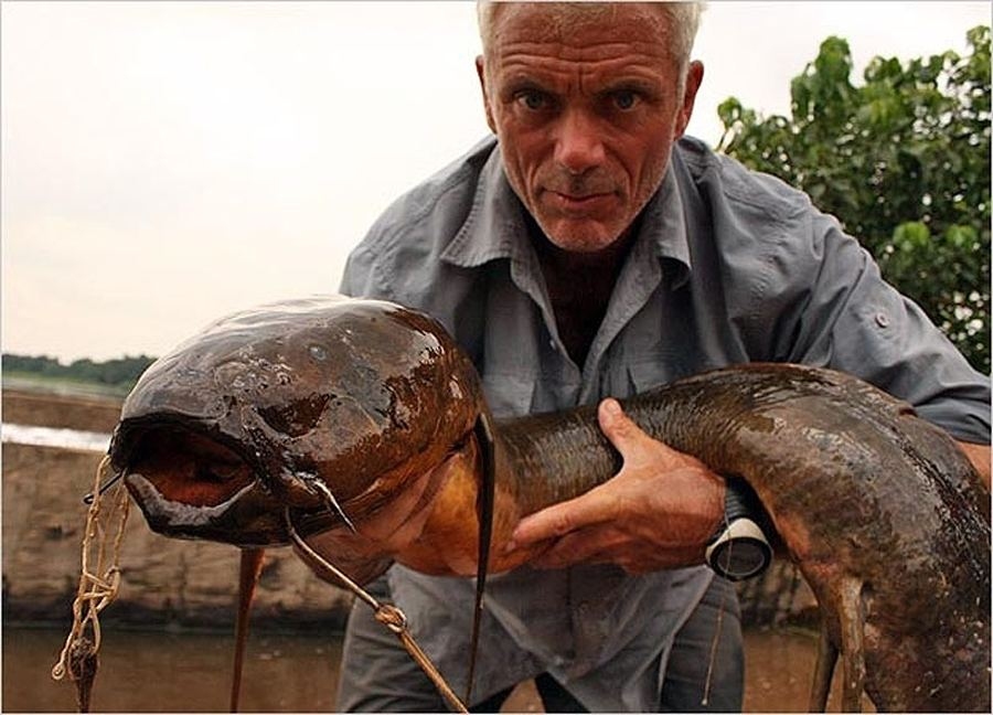 Picture 14 of Collection of formidable aquatic monsters