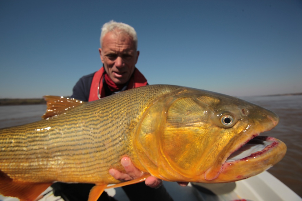 Picture 15 of Collection of formidable aquatic monsters