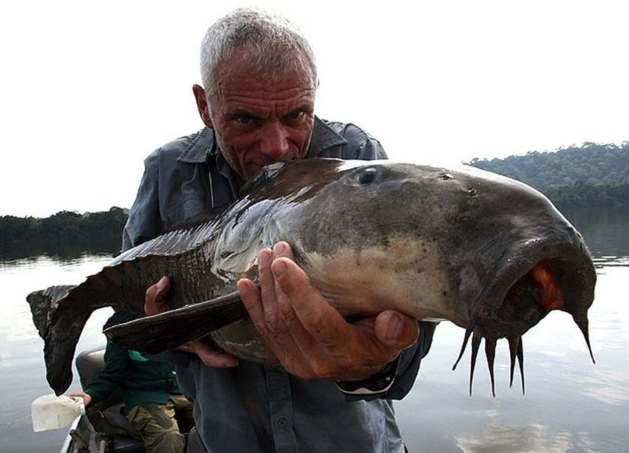 Picture 16 of Collection of formidable aquatic monsters