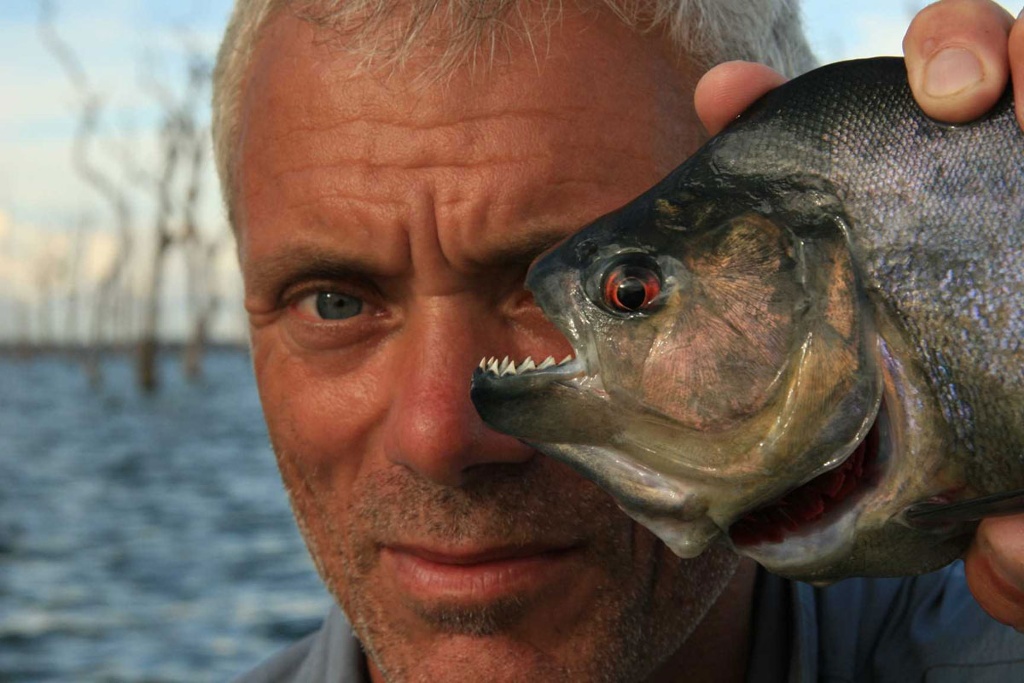 Picture 18 of Collection of formidable aquatic monsters