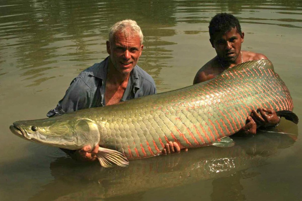 Picture 20 of Collection of formidable aquatic monsters