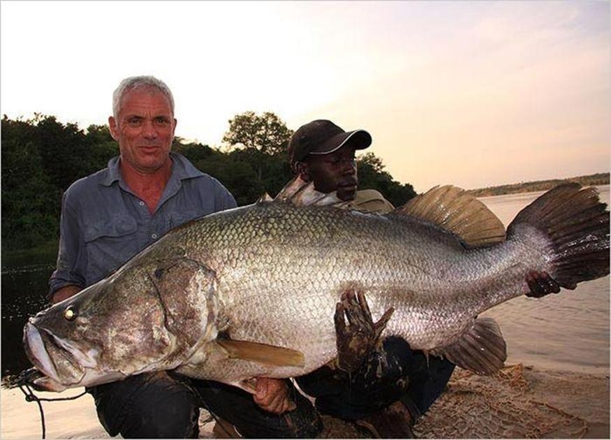 Picture 22 of Collection of formidable aquatic monsters