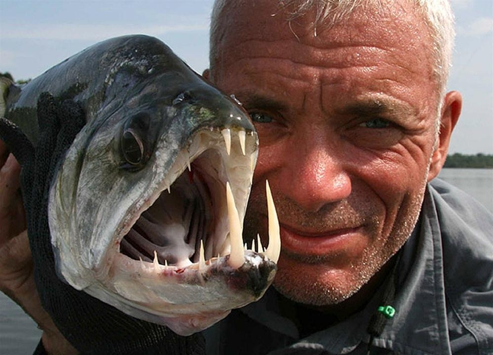 Picture 23 of Collection of formidable aquatic monsters