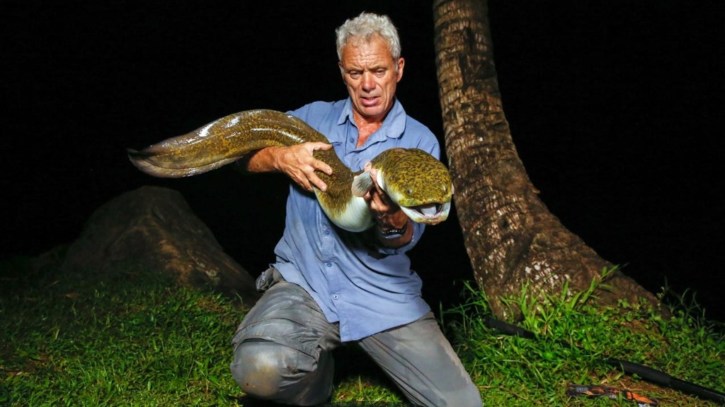 Picture 4 of Collection of formidable aquatic monsters