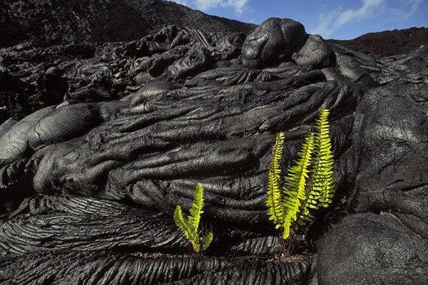 Picture 3 of Collection of surreal 'surreal' landmarks that exist on Earth