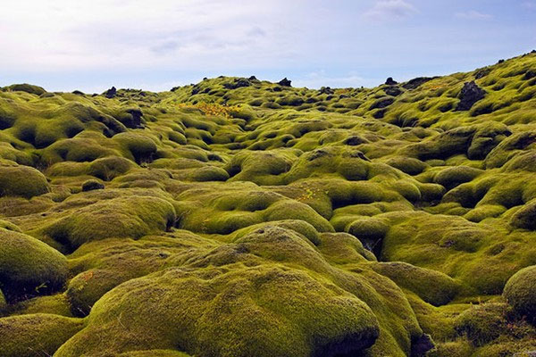 Picture 4 of Collection of surreal 'surreal' landmarks that exist on Earth