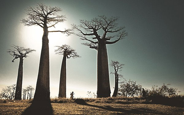 Picture 8 of Collection of surreal 'surreal' landmarks that exist on Earth