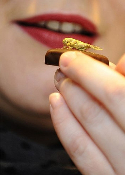 Picture 2 of Come to France to enjoy chocolate insects