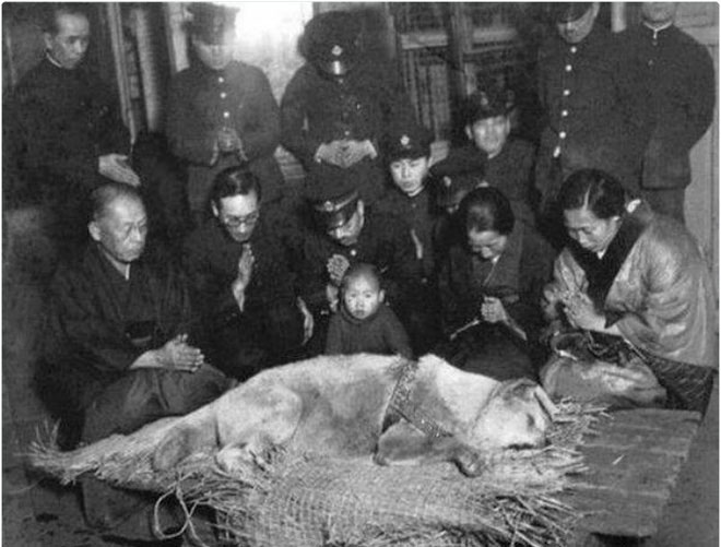 Picture 2 of Compensation when reviewing the emotional moments in history