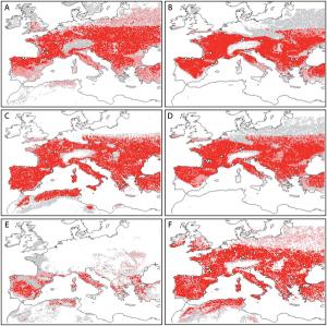 Picture 1 of Competition leads to the extinction of the Neanderthals