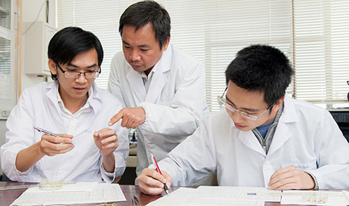 Picture 2 of Compounds that are more expensive than 30,000 times are found from rice