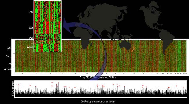 Picture 3 of Computer program shows anyone's ancestors