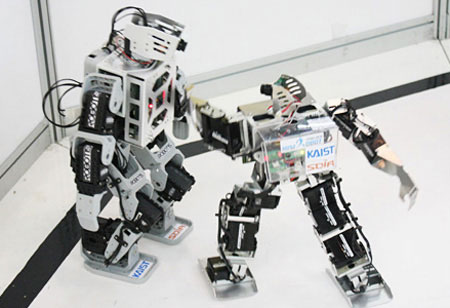 Picture 1 of Congress of martial arts for robots