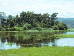 Conservation and sustainable development of wetlands images 1