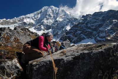 Picture 1 of Contact the phenomenon of melting glaciers in Peru with Little Ice Age in Europe