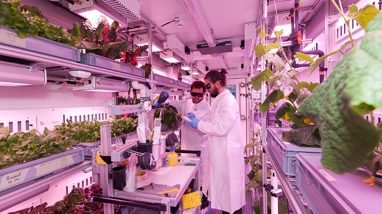 Picture 2 of Container farms tested in Antarctica before going up ... Mars