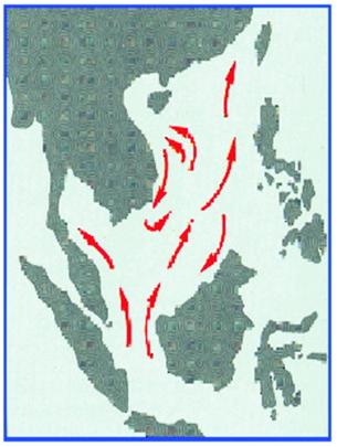 Picture 1 of Continue decoding the oil spill