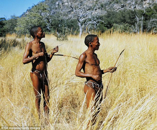Picture 1 of Contraceptives from toxins for men