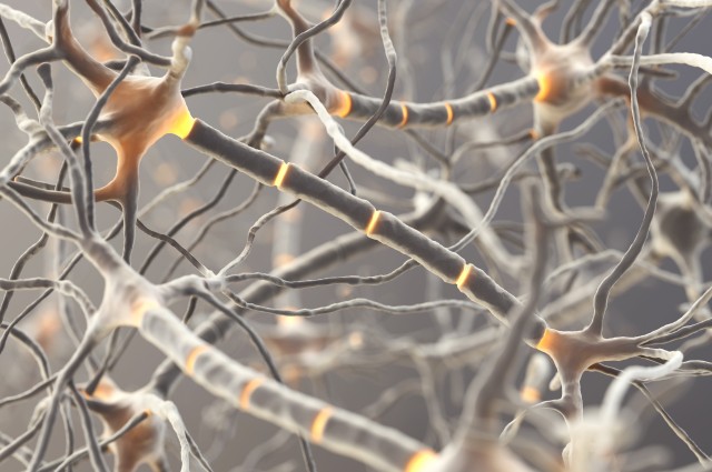Picture 2 of Control neurons by wireless connection