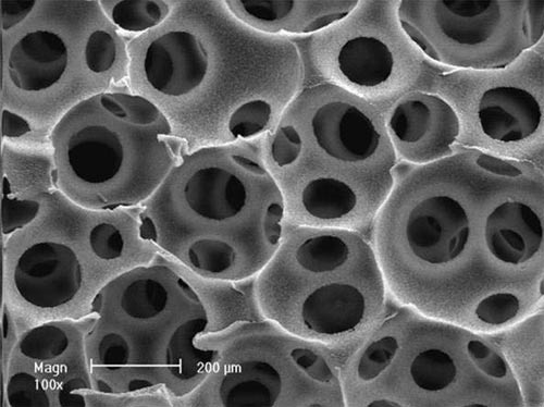 Picture 2 of Control the level of development of tissues and blood vessels instead