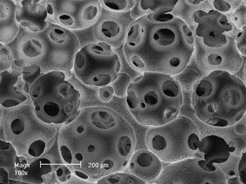 Picture 3 of Control the level of development of tissues and blood vessels instead