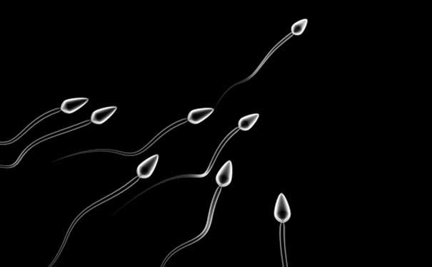 Picture 1 of Control the sperm's gene