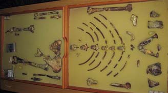 Controversy about bringing prehistoric fossils Lucy out of Ethiopia images 1