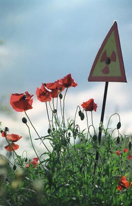 Controversy about life at Chernobyl images 2