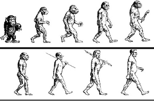 Picture 2 of Controversy 'unique' about Evolutionary theory